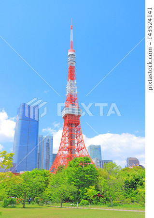 東京鐵塔和東京港區的新鮮綠地 東京鐵塔和東京港區的新鮮綠地 143524141