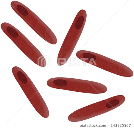 clostridium botulinum illustration clostridium botulinum illustration 143525567