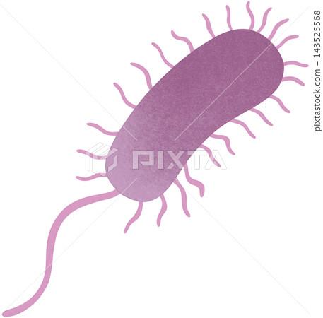 purple pseudomonas aeruginosa illustration purple pseudomonas aeruginosa illustration 143525568