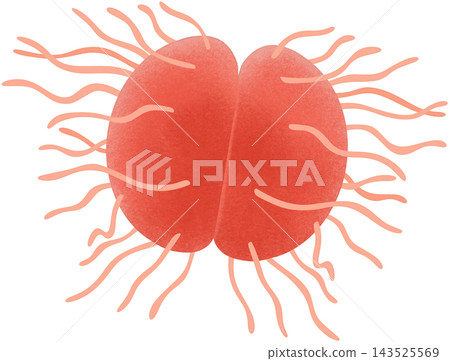 red neisseria gonorrhoeae 143525569
