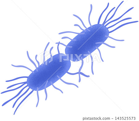 blue escherichia coli illustration blue escherichia coli illustration 143525573