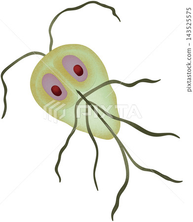 green giardia illustration green giardia illustration 143525575