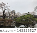 櫻花盛開，高島城在春雪的環繞下若隱若現，地點：長野縣詰訪市 143526527
