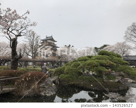 櫻花盛開,高島城在春雪的環繞下若隱若現,地點:長野縣詰訪市 櫻花盛開,高島城在春雪的環繞下若隱若現,地點:長野縣詰訪市 143526527