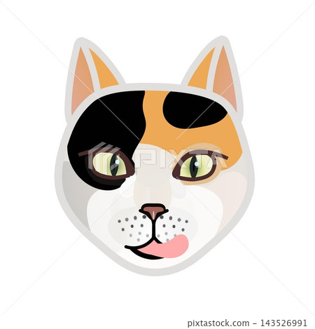 貓臉圖 貓臉圖 143526991