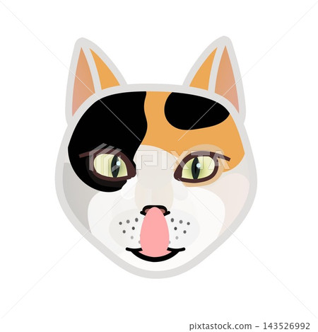 貓臉圖 貓臉圖 143526992