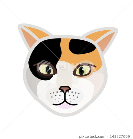 Cat face illustration Cat face illustration 143527009