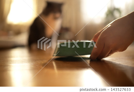 Hand placing green rbowl on polished wooden floorwith softly blurred seated person in warm daylight, shallow depth of field, domestic interior still life Hand placing green rbowl on polished wooden floorwith softly blurred seated person in warm daylight, shallow depth of field, domestic interior still life 143527633