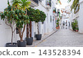 Historic Altea city street in Spain showcasing traditional whitewashed buildings, intricate wrought iron balconies, and charming potted plants along a cobblestone path during a bright day 143528394