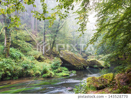 green forest river in the deep forest green forest river in the deep forest 143528770