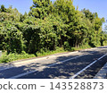 陽光明媚，郊區道路蜿蜒，綠樹成蔭，景色宜人。 143528873