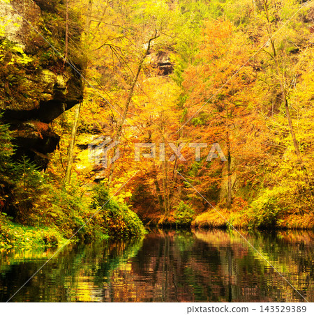 beautiful autumn landscape with colorful trees beautiful autumn landscape with colorful trees 143529389