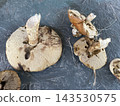Mushroom growing in autumn forest ground 143530575