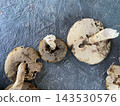 Mushroom growing in autumn forest ground 143530576
