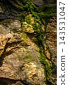 Close-up of wet stone wall texture with moss in an artificial grotto at a mica mine, vertical image. 143531047