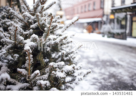 Snow-covered evergreen tree in a winter street scene, blurred buildings and shops visible in the background, creating a festive holiday atmosphere Snow-covered evergreen tree in a winter street scene, blurred buildings and shops visible in the background, creating a festive holiday atmosphere 143531481