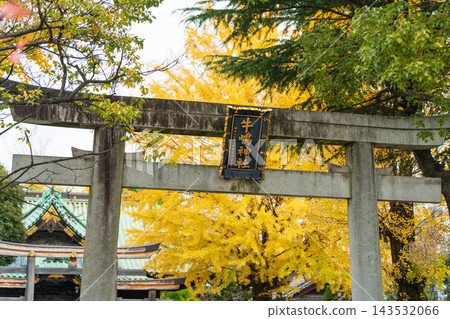 秋日里,牛島神社的石鳥居掩映在金黃色的銀杏葉之中。日本東京墨田區 秋日里,牛島神社的石鳥居掩映在金黃色的銀杏葉之中。日本東京墨田區 143532066
