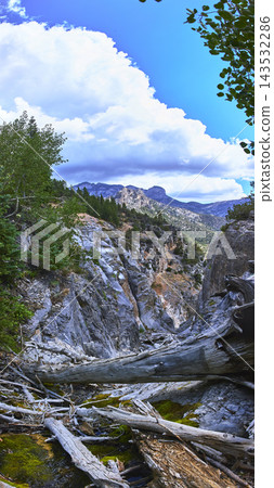 Panorama Rugged Canyon Fallen Log and Pine Trees with Dramatic Clouds Nevada Panorama Rugged Canyon Fallen Log and Pine Trees with Dramatic Clouds Nevada 143532286