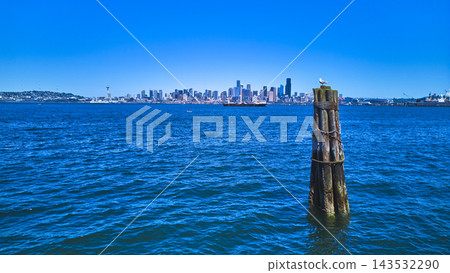 Seattle Skyline Waterfront Seagull and Blue Water from Alki Beach Perspective Seattle Skyline Waterfront Seagull and Blue Water from Alki Beach Perspective 143532290