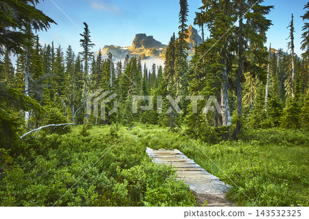 Skyline Trail Pathway Through Lush Forest Toward Mountain Peaks in Morning Fog Skyline Trail Pathway Through Lush Forest Toward Mountain Peaks in Morning Fog 143532325