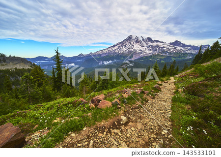 Mount Rainier Pinnacle Trail Rocky Path with Wildflowers and Evergreen Forest Mount Rainier Pinnacle Trail Rocky Path with Wildflowers and Evergreen Forest 143533101