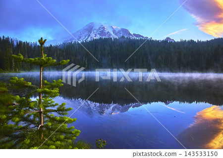Mount Rainier Sunrise Reflection Lake Evergreen Tree and Morning Fog Tranquil Scene 143533150