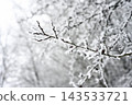 Frost covered winter branches in forest 143533721