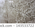 Icy branches in winter forest 143533722