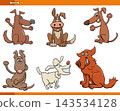 funny cartoon dogs comic animal characters set 143534128