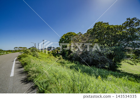 木曾川左岸的道路以及環繞川田城遺址的森林。 143534335