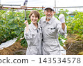 A senior couple harvesting fruit 143534578