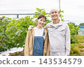 Farmer men and women who harvest vegetables 143534579