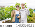 Farmer men and women who harvest vegetables 143534581