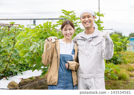 收割蔬菜的農民男人和女人 143534581