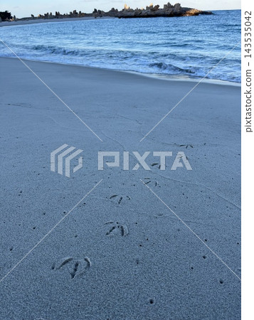 沙灘上留下的鳥爪印 沙灘上留下的鳥爪印 143535042