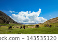 Yak Grazing in a Tibetan Plateau Valley Under a Blue Sky with Clouds 143535120