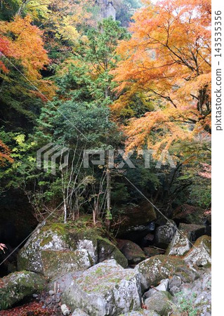 深谷溪，秋山之鄉河 143535356