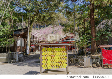 春日姬宮神社的景色。 春日姬宮神社的景色。 143538002