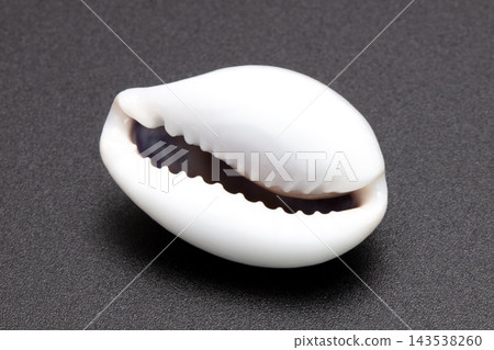 虎斑貝(Cypraea tigris) 虎斑貝(Cypraea tigris) 143538260