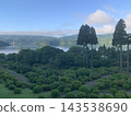 A summer landscape with lush green nature. 143538690