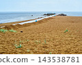 Concrete viewing platform with blue seating at low tide coastal location 143538781