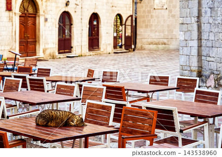 Striped house cat sleeping on cafe terrace table Kotor Montenegro old town square Striped house cat sleeping on cafe terrace table Kotor Montenegro old town square 143538960