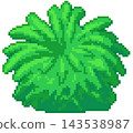 Palm bush in pixel art 143538987