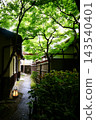 Landscape with fresh green 143540401