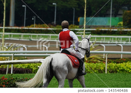 Equestrian Scene Horse and Rider on a Sunny Day Equestrian Scene Horse and Rider on a Sunny Day 143540486