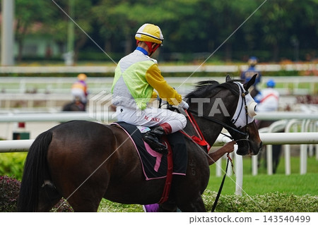 Horse Racing Jockey Equestrian Sport Thoroughbred Race 143540499