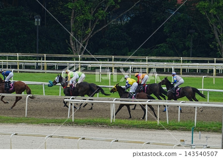 Horse Racing at the Racetrack Sports and Competition Horse Racing at the Racetrack Sports and Competition 143540507