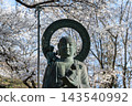 背景中是盛開的櫻花，旁邊是小安地藏菩薩像。 143540992