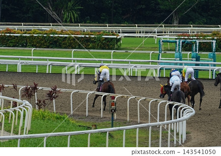 Horse Racing Event at the Racetrack Horse Racing Event at the Racetrack 143541050