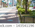 街道兩旁綠樹成蔭，陽光照耀著城市人行道。 143541196